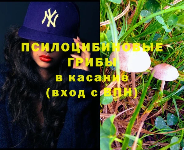 прущая мука Майский