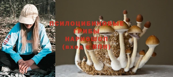 прущая мука Майский